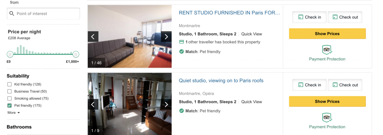 How To Find Pet-Friendly Accommodations While Traveling