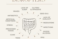 What Are Effective Ways To Improve Gut Health Today What Are Effective Ways To Improve Gut Health Today