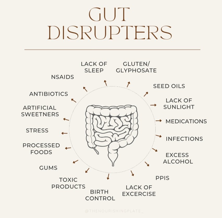 18 Ways To Improve Gut Health — The Nourishing Plate What Are Effective Ways To Improve Gut Health