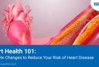 How To Support Heart Health With Lifestyle Changes How To Support Heart Health With Lifestyle Changes