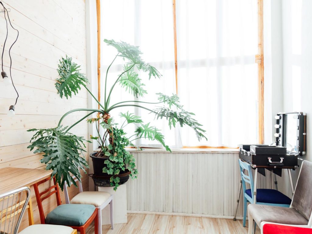 Simple Ideas For Sustainable Living Unleash Eco-Friendly Solutions