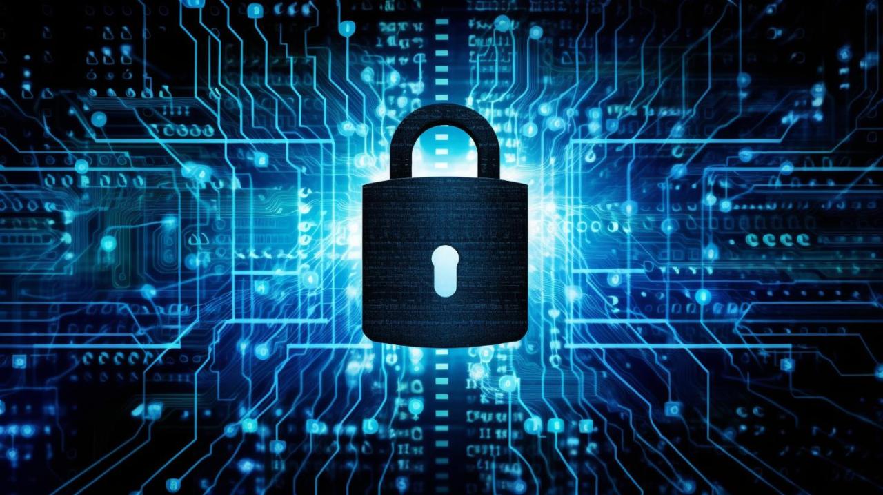 Ways To Enhance Software Security And Privacy Measures