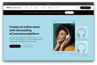 How To Choose The Best E-Commerce Platform For Beginners